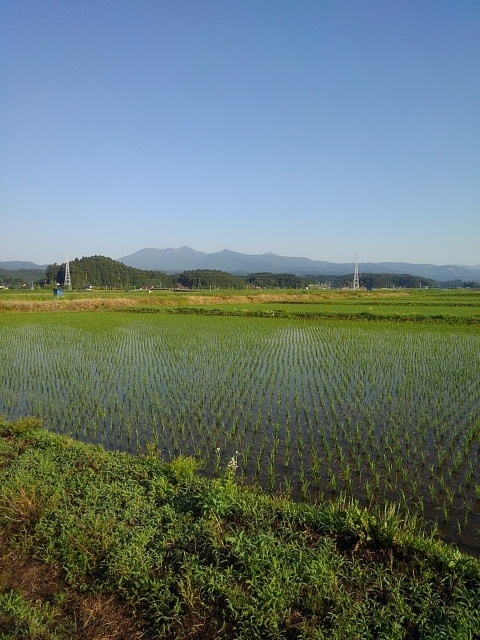 水田と高原山（6月5日）