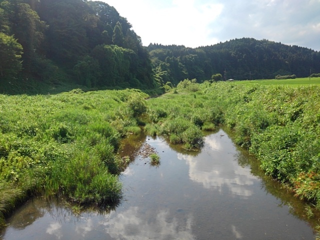 映り込みが綺麗な橋の上からの川（7月16日）