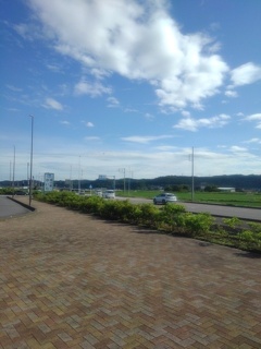 道の駅の歩道（6月15日）