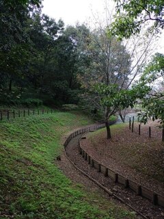 川崎城跡公園の小川（9月30日）