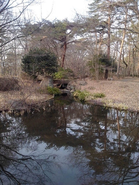那須野が原公園の森の池（3月1日）
