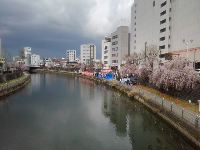 宇都宮の川（4月11日）