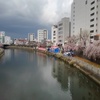 宇都宮の川（4月11日）