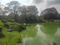 那須野が原公園の木の姿が映る池（9月18日）
