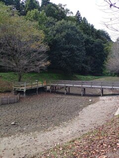川崎城跡公園の池（9月30日）