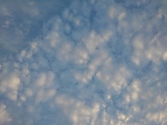 鱗雲（10月29日）