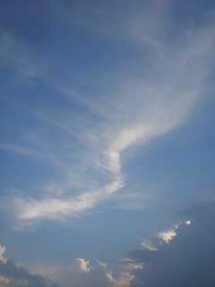薄い雲と入道雲（8月13日）
