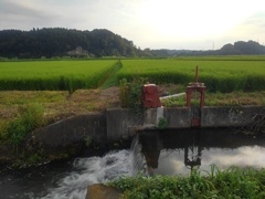 用水路と水田と岩山（8月3日）