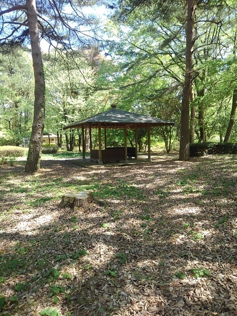 那須野が原公園の森の休憩所（4月30日）