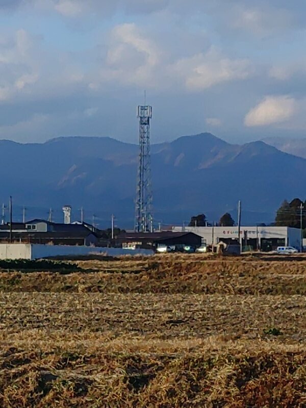 水田と鉄塔（12月17日）