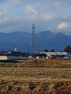 水田と鉄塔（12月17日）