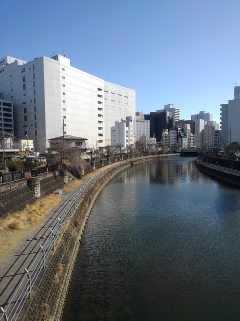 都会の川（2月7日）