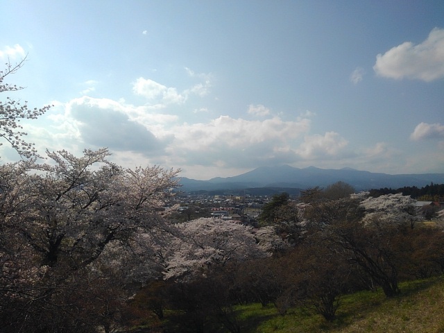 長峰公園の丘の頂上からの眺め（4月12日）