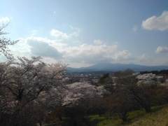 長峰公園の丘の頂上からの眺め（4月12日）