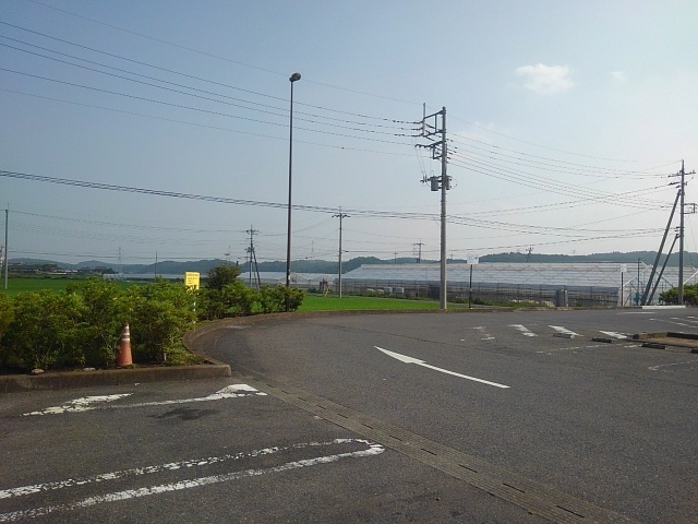 道の駅やいたと水田の景色（7月8日）