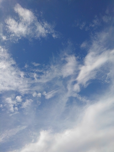 薄い雲（8月7日）