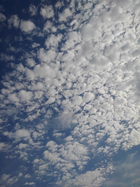 流氷のような鱗雲（7月3日）