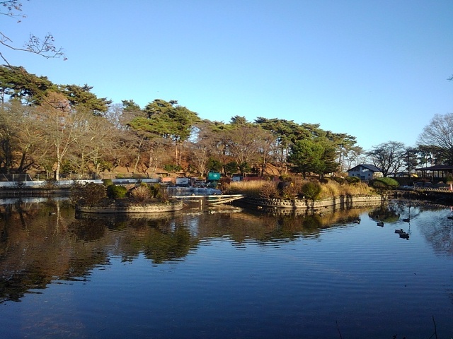 烏ヶ森公園の池の島（12月9日）