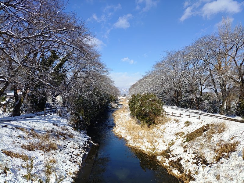 雪の土手と川（1月12日）
