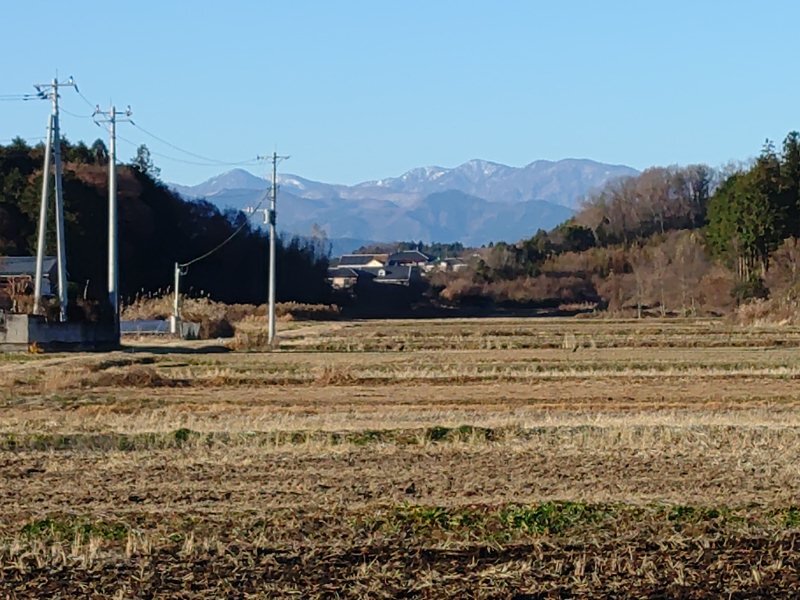 水田と山（12月6日）