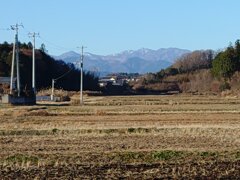 水田と山（12月6日）