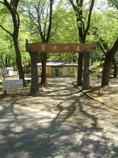 アスレチック広場の入口の看板（4月30日）