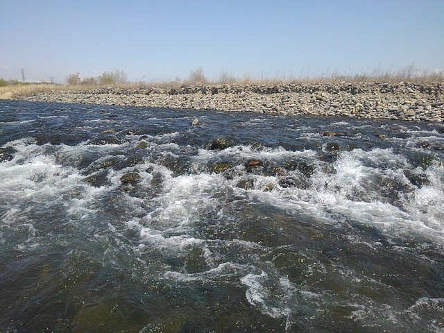 川の水飛沫（4月5日）