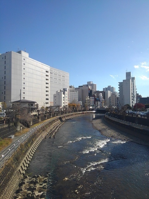 橋の上からの川（12月6日）