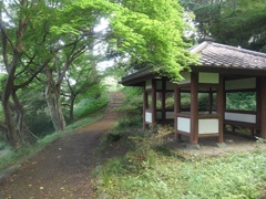 烏ヶ森公園の丘の休憩所（6月21日）