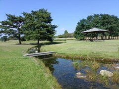 ゆうゆうパークの小川沿いの休憩所（8月30日）