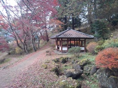 烏ヶ森公園の丘の休憩所（12月7日）