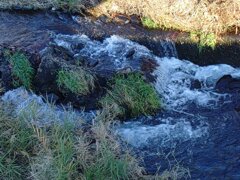 川の堰（12月6日）