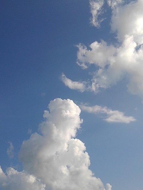 ゴジラみたいな雲（8月8日）
