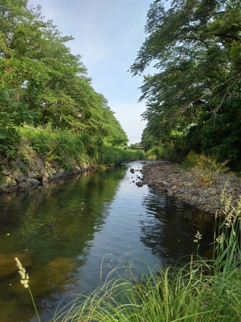 川（6月7日）