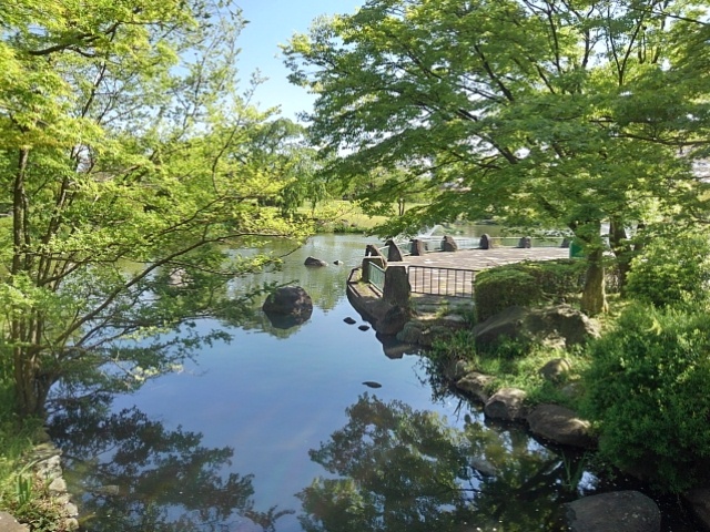 モミジの池（4月30日）
