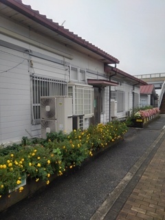 矢板駅の花壇（10月4日）