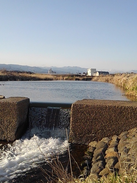 狭い堰（3月26日）