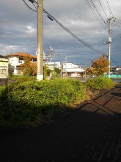 歩道（10月10日）