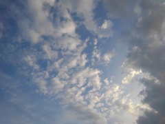 夕方の鱗雲（10月2日）