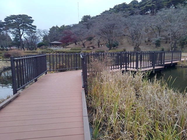 池の橋（12月7日）