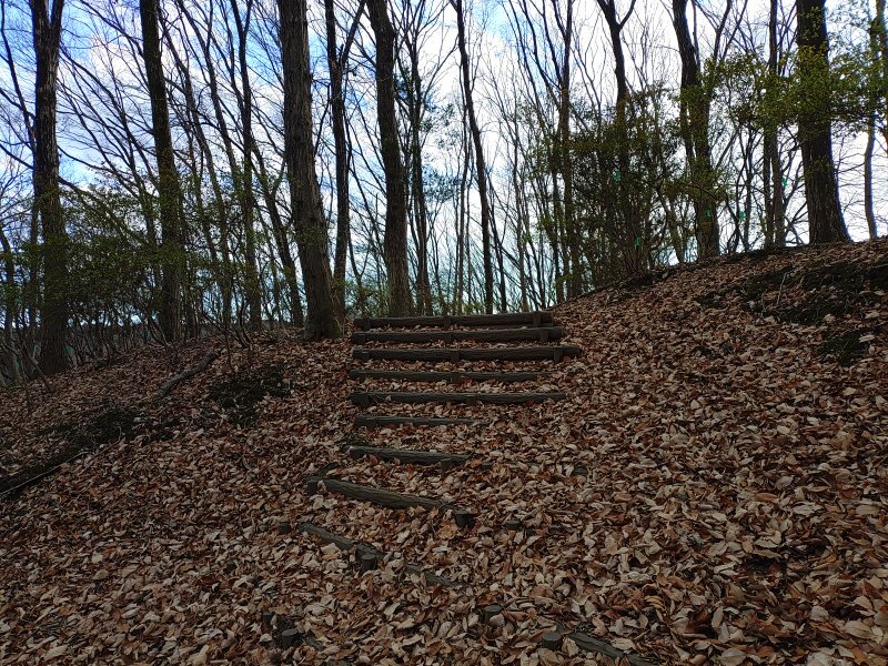 自然に近い階段もある丘の森（1月1日）