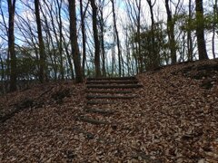 自然に近い階段もある丘の森（1月1日）