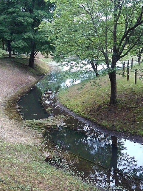 幻想的な小川（6月6日）