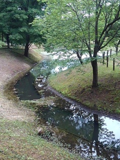 幻想的な小川（6月6日）