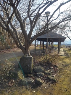 街灯と水飲み場と休憩所（1月3日）