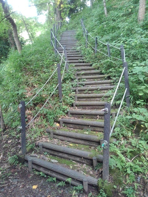 川崎城跡公園の急な上り階段（7月20日）