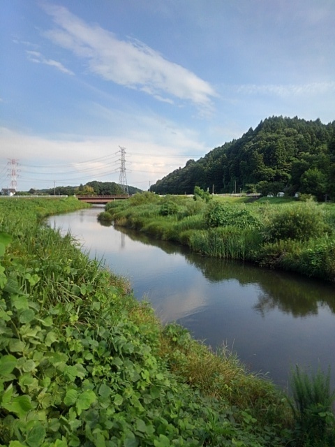 空が映り込む川（7月20日）