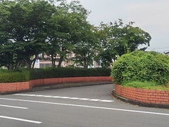 矢板駅前の街路樹（7月4日）