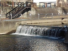 水飛沫も目立つ宇都宮の堰（1月12日）