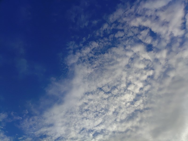 青空と鱗雲（10月14日）